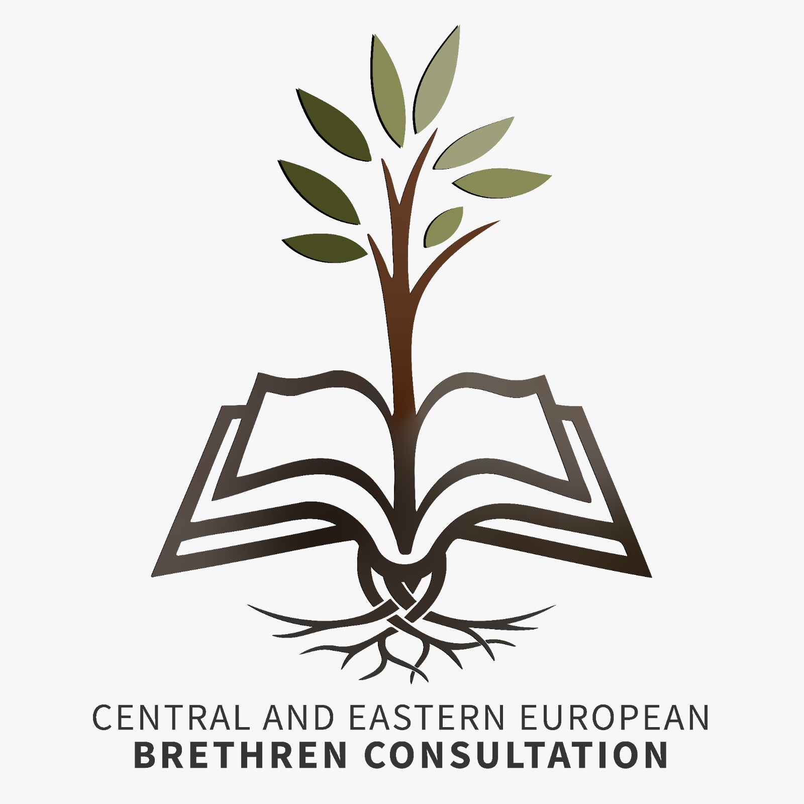 Brethren Consultation